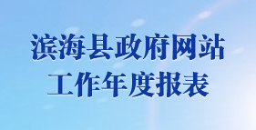 濱?？h政府網站工作年度報表